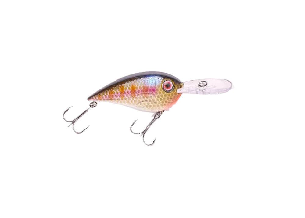 Bruiser Cruiser Shallow Crankbait Rounded Bill Okeechobee Bass Lure