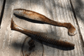 Bruiser Baits Slimmer Swimmer Paddle Tail Swim Jig Bladed Jig Trailer